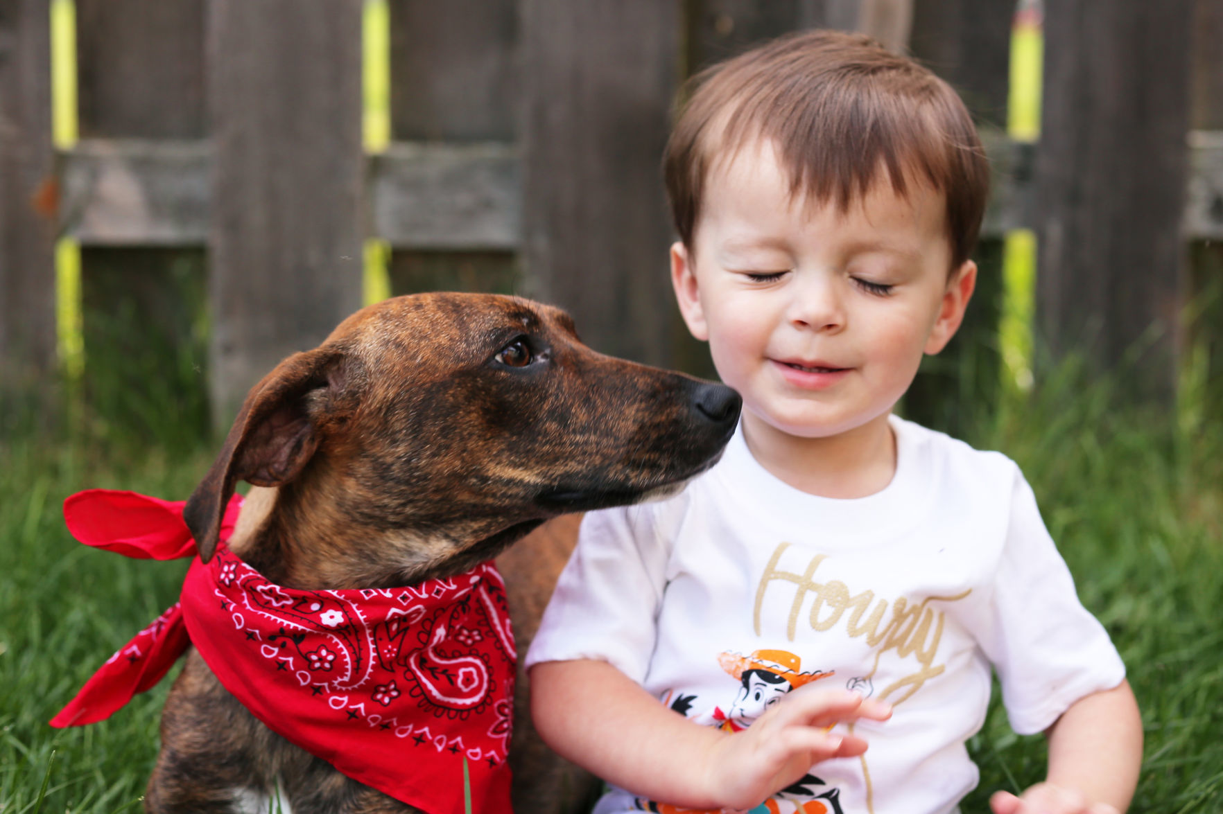Holly Sater: A boy and his new dog